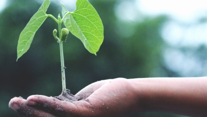 Ipsos Sustainability