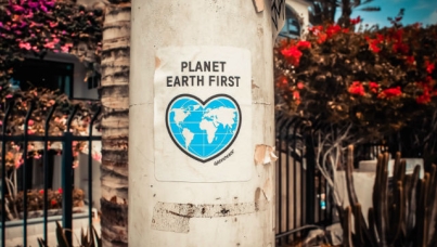 Image of Poster on Concrete Wall which reads: Planet Earth First