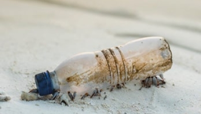 Plastic bottle on the beach | plastic packaging | Singapore perspective | Ipsos