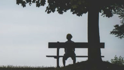 Picture of individual sitting alone on bench beneath a tree 