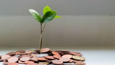 Image of plant growing from coins