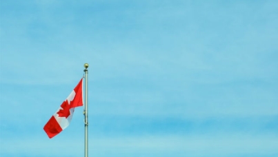 Canadian fly against background of sky