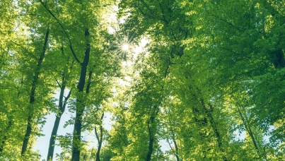 Brice Teinturier, Le Monde, urgence climatique