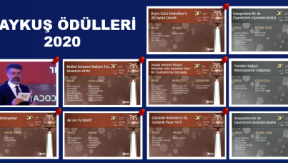 Baykus odulleri 2020