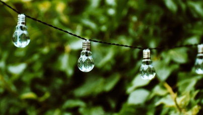 Ipsos|Green Economy