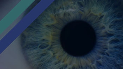 The Perils of Perception 2020 - Causes of Death - Ipsos