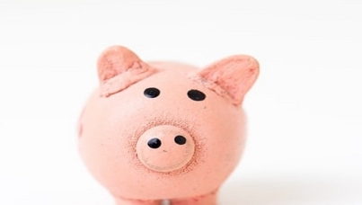 piggy bank
