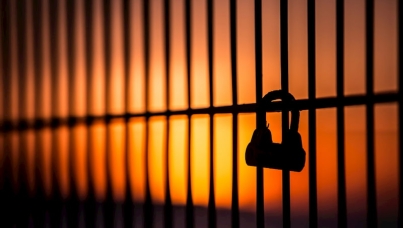 Ipsos | Journée des droits humains