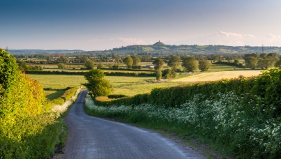 Somerset residents survey