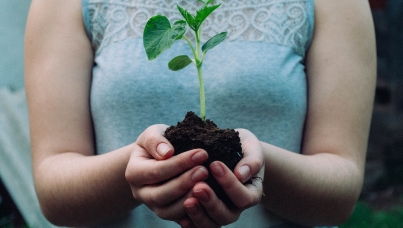 Earth Day 2021: Only 3 in 10 Britons think the Government has a clear plan to tackle climate change - Ipsos