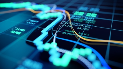 The case for a hybrid economy