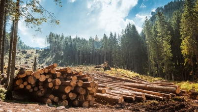 Global survey finds broad support for taxing and labeling products using scarce natural resources 