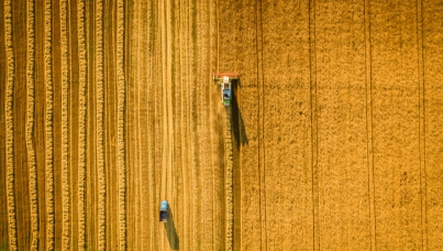 Un agriculteur sur deux se dit pessimiste en dépit des opportunités offertes par le secteur