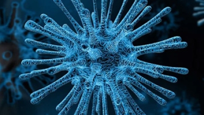 Coronavirus | 2019 - nCov | Covid-19 | threat | outbreak | Ipsos