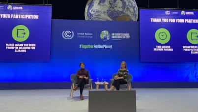 COP26 | Sustainability | Ipsos