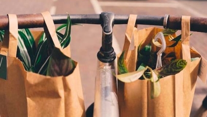 Biodegradable bags