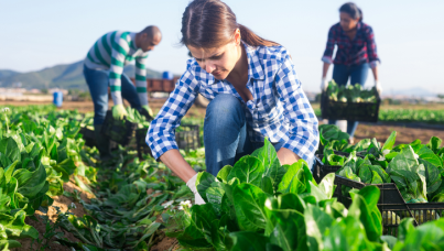 Agriculture en France