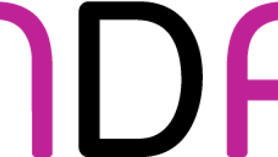 NDA Easy Read Survey