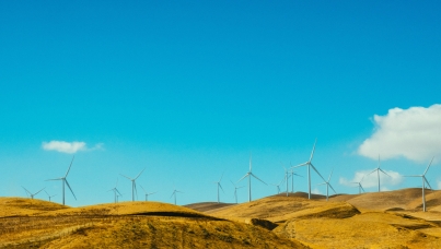 Climate antagonism