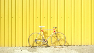 Ipsos | World Bicycle Day 2022 | Global Advisor