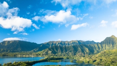 Ipsos Sustainability 2022