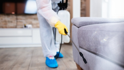 Ipsos | Sondage | Nuisibles | Cafards | Punaises de lit | Dératisation