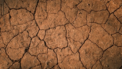 Ipsos | World Economic Forum | WEF | Global Warming | Climate Change | Environment
