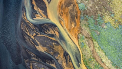 Ipsos | sustainability | environment 
