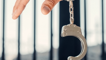 Ipsos crime, violence, law enforcement global study