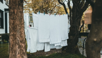 Ipsos | Cofreet | Textile | Engagement | Innovation