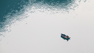 Global Advisro | Ipsos |Réfugiés