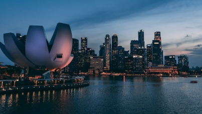 Ipsos | What worries the world | Quiz | Singapore