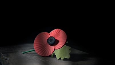 Ipsos Remembrance Day 2023 Poll