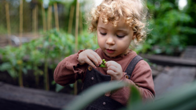 Будущее здоровья и питания. Tetra Pak Index 2023