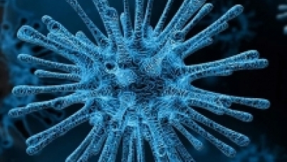 Blue Virus image