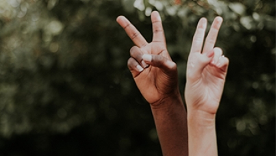 Racism and social media - Ipsos survey