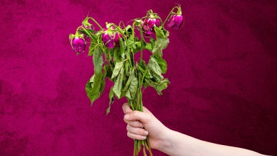 Valentines Day 2024