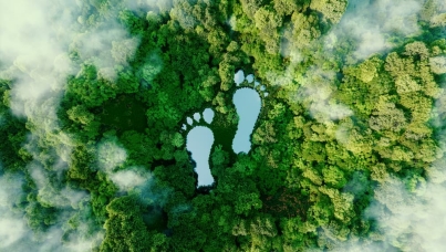 Ipsos | Sustainability | Holiday | Travel 