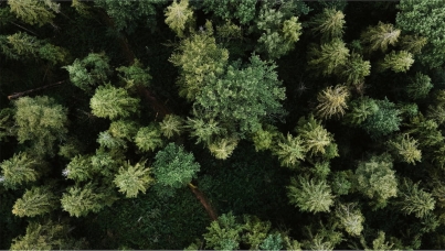 Ipsos | Earth Day | sustainability | climate change