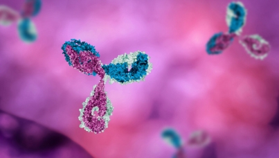 Image of antibodies