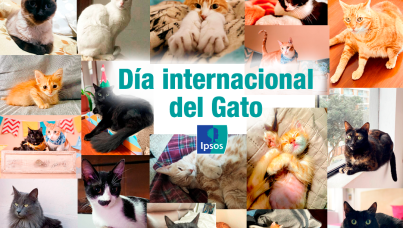 Día internacional del gato 2023