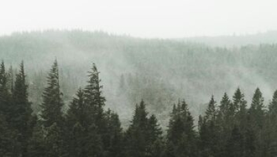 UN Global Compact ipsos sweden sverige rapport