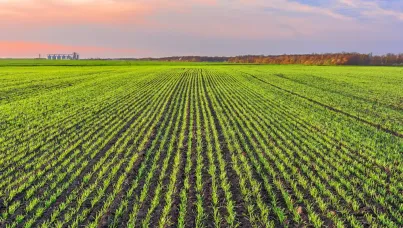 Ipsos bva | NTT DATA | Agriculture régénérative | Regen Ag