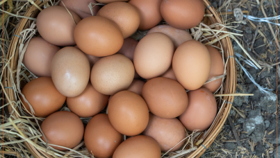 Informe de resultados Fundación  Ipsos y Fundación Veg 2025 - Huevos