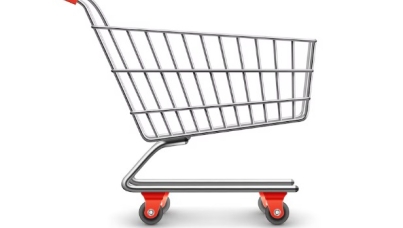 Ipsos IndiaBus Festival Shopping Survey