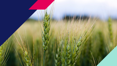 64% of Canadians want foreign sales of resources blocked