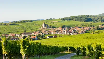 Observatoire de la ruralité 2025 | Association des Maires Ruraux de France