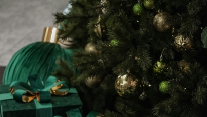 Studiu Ipsos - Craciun 2025