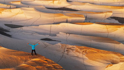 Ipsos Update January 2026