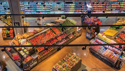 Editorial Alina Stepan (Ipsos), in Progresiv